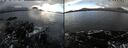 ./images/rivers-inlet/ethel/20250131/ethel20250131_130457.jpg