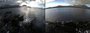 ./images/rivers-inlet/ethel/20250131/ethel20250131_131956.jpg