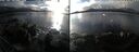 ./images/rivers-inlet/ethel/20250131/ethel20250131_145456.jpg