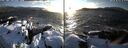 ./images/rivers-inlet/ethel/20250202/ethel20250202_163456.jpg