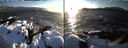./images/rivers-inlet/ethel/20250202/ethel20250202_164456.jpg