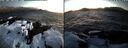 ./images/rivers-inlet/ethel/20250202/ethel20250202_175456.jpg