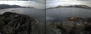 ./images/rivers-inlet/ethel/20250501/ethel20250501_094454.jpg