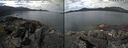 ./images/rivers-inlet/ethel/20250501/ethel20250501_115501.jpg