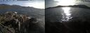 ./images/rivers-inlet/ethel/20250501/ethel20250501_183502.jpg