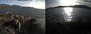 ./images/rivers-inlet/ethel/20250501/ethel20250501_184454.jpg