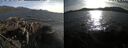 ./images/rivers-inlet/ethel/20250501/ethel20250501_184502.jpg