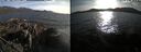 ./images/rivers-inlet/ethel/20250501/ethel20250501_184954.jpg