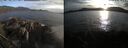 ./images/rivers-inlet/ethel/20250501/ethel20250501_194954.jpg