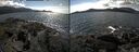 ./images/rivers-inlet/ethel/20250504/ethel20250504_142502.jpg