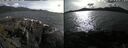 ./images/rivers-inlet/ethel/20250504/ethel20250504_172001.jpg