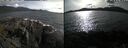 ./images/rivers-inlet/ethel/20250504/ethel20250504_172454.jpg