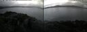 ./images/rivers-inlet/ethel/20250506/ethel20250506_184002.jpg