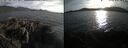 ./images/rivers-inlet/ethel/20250507/ethel20250507_192002.jpg