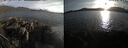 ./images/rivers-inlet/ethel/20250507/ethel20250507_194954.jpg