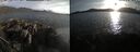 ./images/rivers-inlet/ethel/20250507/ethel20250507_195002.jpg