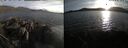 ./images/rivers-inlet/ethel/20250507/ethel20250507_195454.jpg