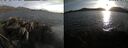 ./images/rivers-inlet/ethel/20250507/ethel20250507_195954.jpg
