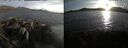 ./images/rivers-inlet/ethel/20250507/ethel20250507_200002.jpg