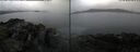 ./images/rivers-inlet/ethel/20250516/ethel20250516_145001.jpg