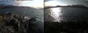 ./images/rivers-inlet/ethel/20250827/ethel20250827_173002.jpg