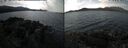 ./images/rivers-inlet/ethel/20250829/ethel20250829_131502.jpg