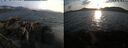 ./images/rivers-inlet/ethel/20250829/ethel20250829_192502.jpg