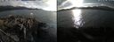 ./images/rivers-inlet/ethel/20250909/ethel20250909_181002.jpg