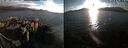 ./images/rivers-inlet/ethel/20250909/ethel20250909_190002.jpg