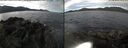 ./images/rivers-inlet/ethel/20251013/ethel20251013_094503.jpg