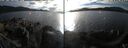 ./images/rivers-inlet/ethel/20251013/ethel20251013_163003.jpg