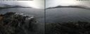 ./images/rivers-inlet/ethel/20251019/ethel20251019_101502.jpg