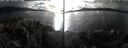 ./images/rivers-inlet/ethel/20251019/ethel20251019_155001.jpg