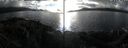 ./images/rivers-inlet/ethel/20251019/ethel20251019_162001.jpg