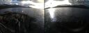 ./images/rivers-inlet/ethel/20251019/ethel20251019_171502.jpg