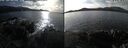 ./images/rivers-inlet/ethel/20251021/ethel20251021_143502.jpg