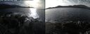 ./images/rivers-inlet/ethel/20251021/ethel20251021_144502.jpg