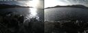 ./images/rivers-inlet/ethel/20251021/ethel20251021_145002.jpg