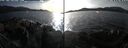 ./images/rivers-inlet/ethel/20251021/ethel20251021_154502.jpg