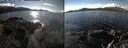 ./images/rivers-inlet/ethel/20260228/ethel20260228_131002.jpg