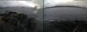 ./images/rivers-inlet/ethel/20260310/ethel20260310_104502.jpg