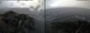 ./images/rivers-inlet/ethel/20260310/ethel20260310_115002.jpg