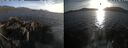 ./images/rivers-inlet/ethel/20260421/ethel20260421_193002.jpg