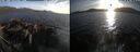 ./images/rivers-inlet/ethel/20260421/ethel20260421_193502.jpg