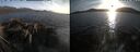 ./images/rivers-inlet/ethel/20260421/ethel20260421_194502.jpg