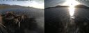 ./images/rivers-inlet/ethel/20260421/ethel20260421_195002.jpg