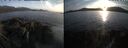 ./images/rivers-inlet/ethel/20260421/ethel20260421_200002.jpg