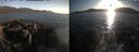 ./images/rivers-inlet/ethel/20260422/ethel20260422_194001.jpg