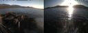 ./images/rivers-inlet/ethel/20260422/ethel20260422_194501.jpg