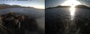 ./images/rivers-inlet/ethel/20260422/ethel20260422_195001.jpg